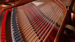La rivoluzionaria tecnologia TransAcoustic™ di Yamaha sfrutta appieno il progetto originale del pianoforte acustico basata sulla tavola armonica.