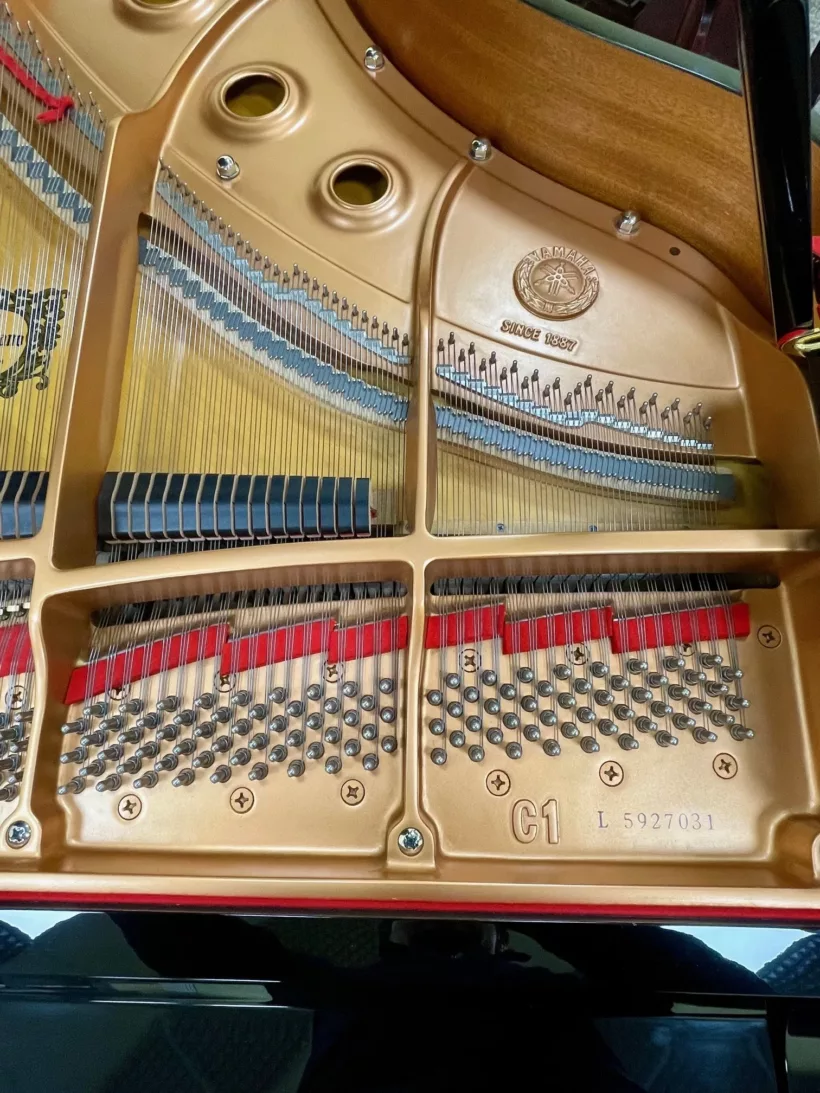 matricola pianoforte yamaha c1