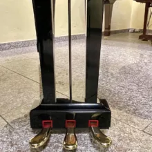 pedali yamaha c1 usato