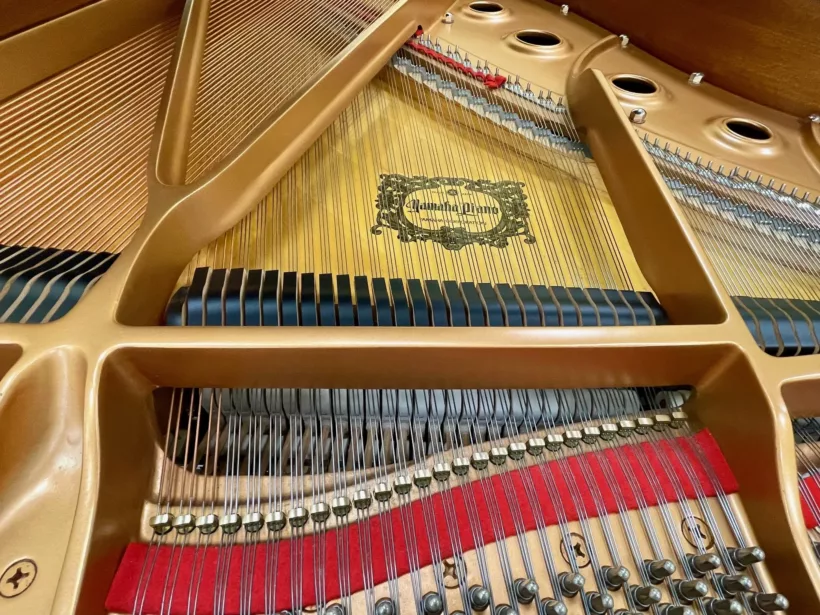 struttura pianoforte yamaha c1