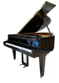 Schimmel 174