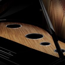 Vendita Pianoforti Milano Vendita Pianoforti Milano