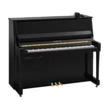 Yamaha B30 Silent SC3 Yamaha B30 Silent SC3