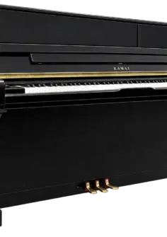 condizioni esterne kawai k3