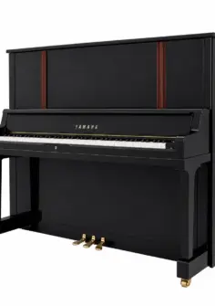 Yamaha YUS 5 transacoustic usato