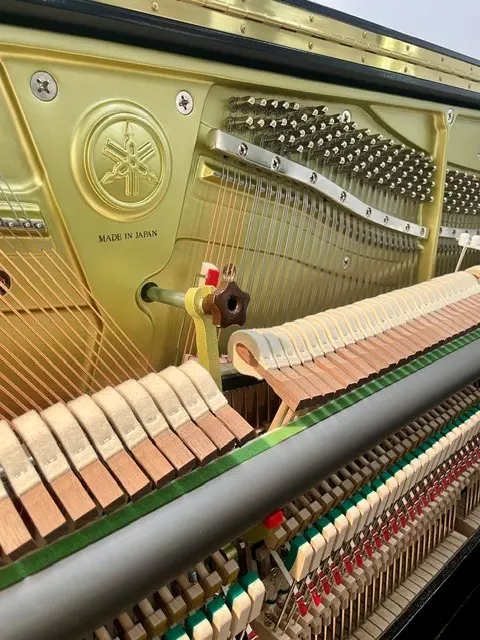 Yamaha_YUS5_transacoustic_meccanica condizioni interne Yamaha YUS transacoustic usato