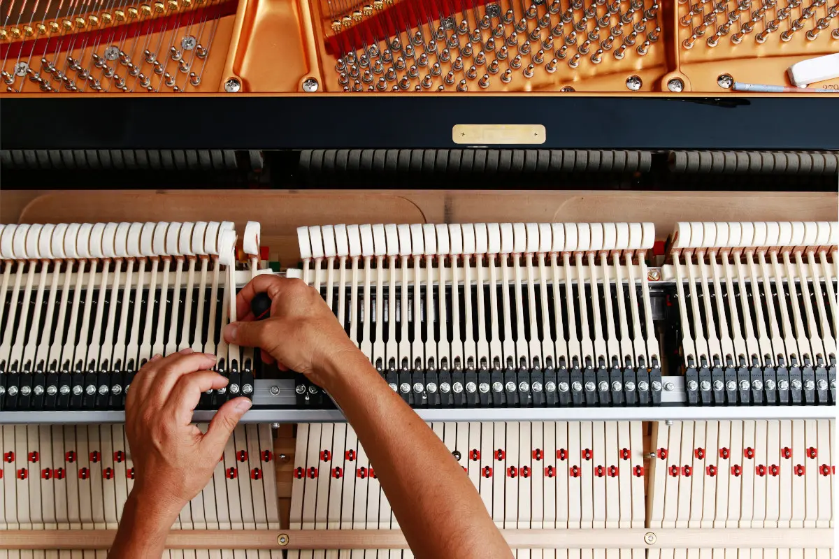 Pianoforti Griffa Laboratorio Interno